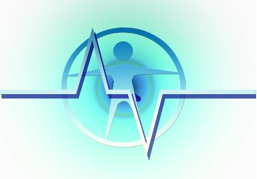 인간의 가장 중요한 심장을 묘사