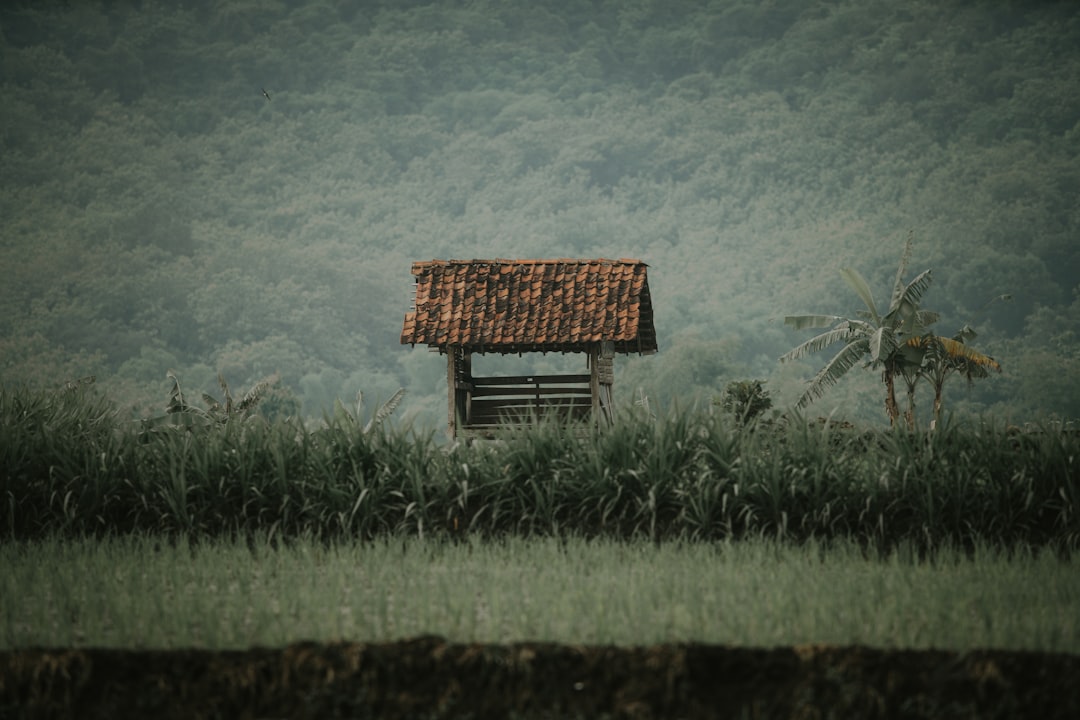 HomeTax