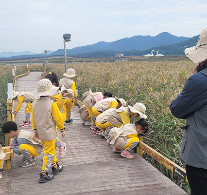 2024 강진만 춤추는 갈대축제