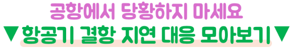 여행자보험-추천-비교-핸드폰-캐리어-파손-분실-병원비-항공기-지연-보상