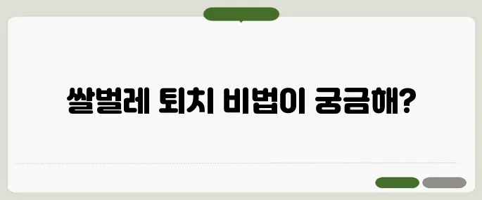 쌀벌레 없애는 법 집에서 가능