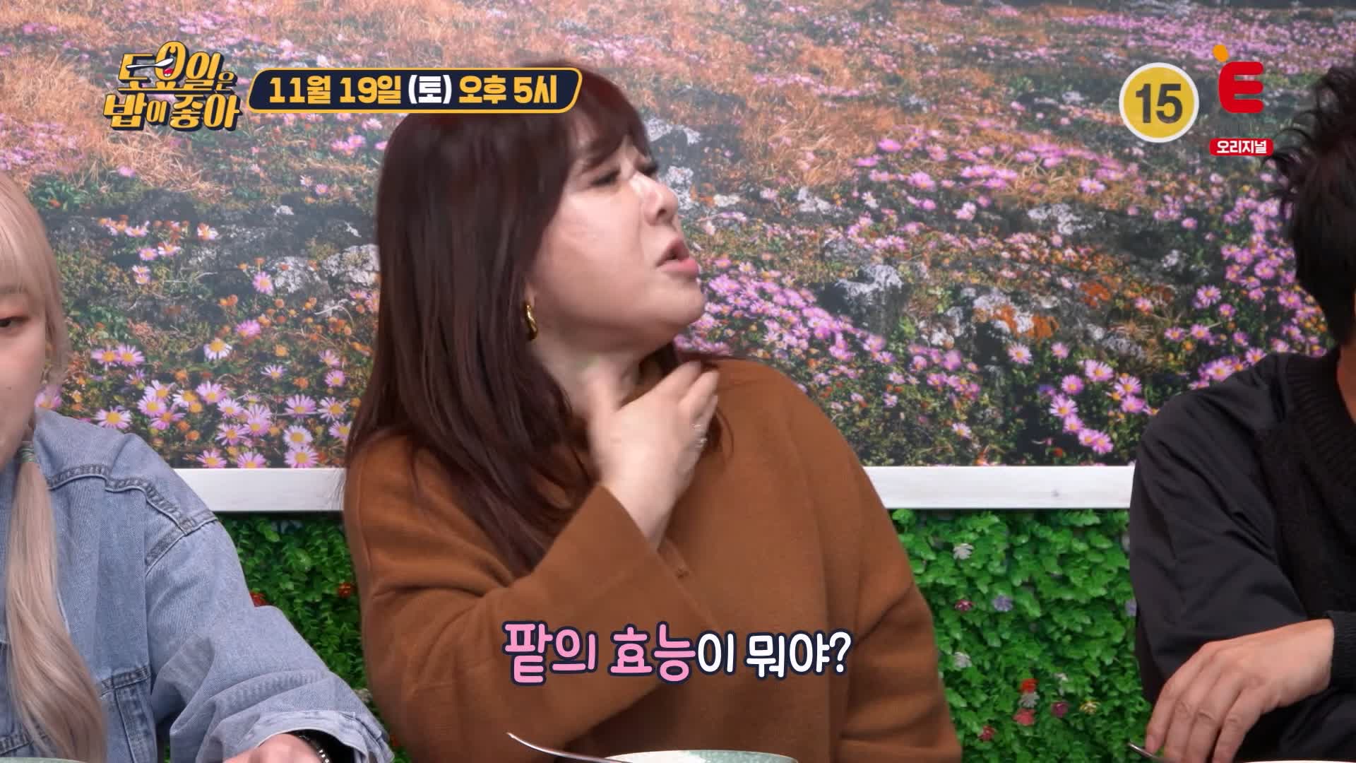 토요일은 밥이좋아 토밥 감귤 오메기떡 팥오메기떡 현지인 추천 제주 맛집 추천 토밥좋아 방송정보