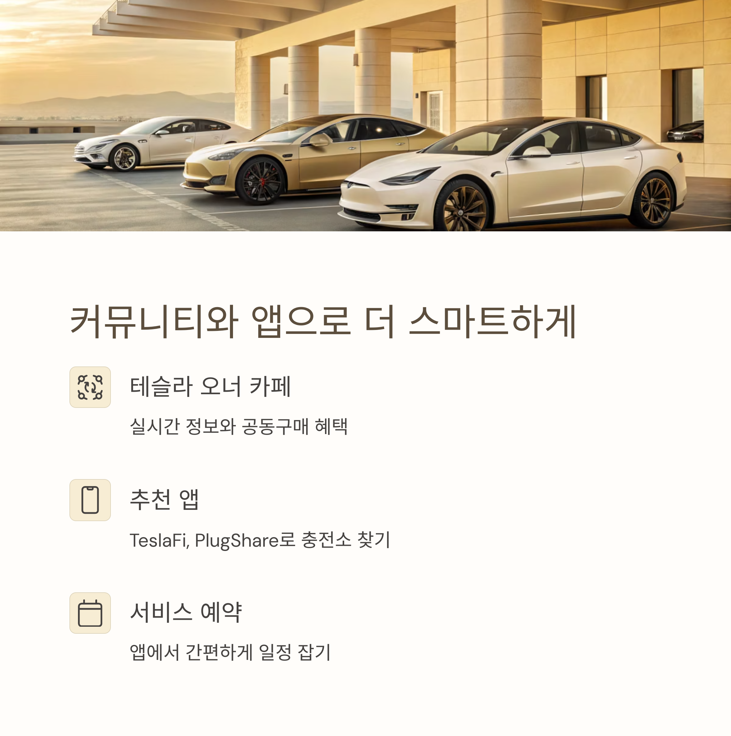 테슬라 초보자를 위한 현실 꿀팁