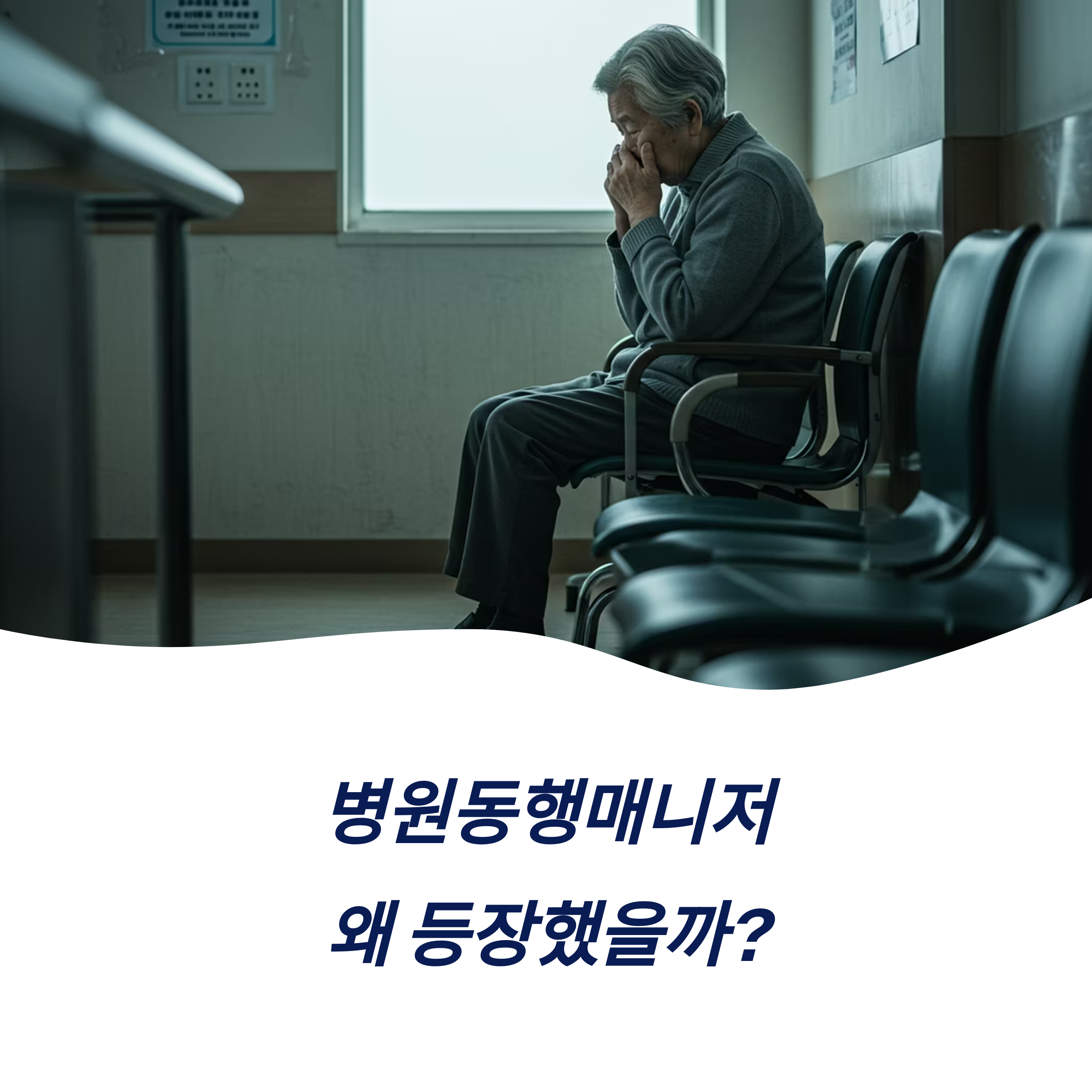 병원동행매니저 역할 서비스 이용 대상 자격 교육 최신 동향