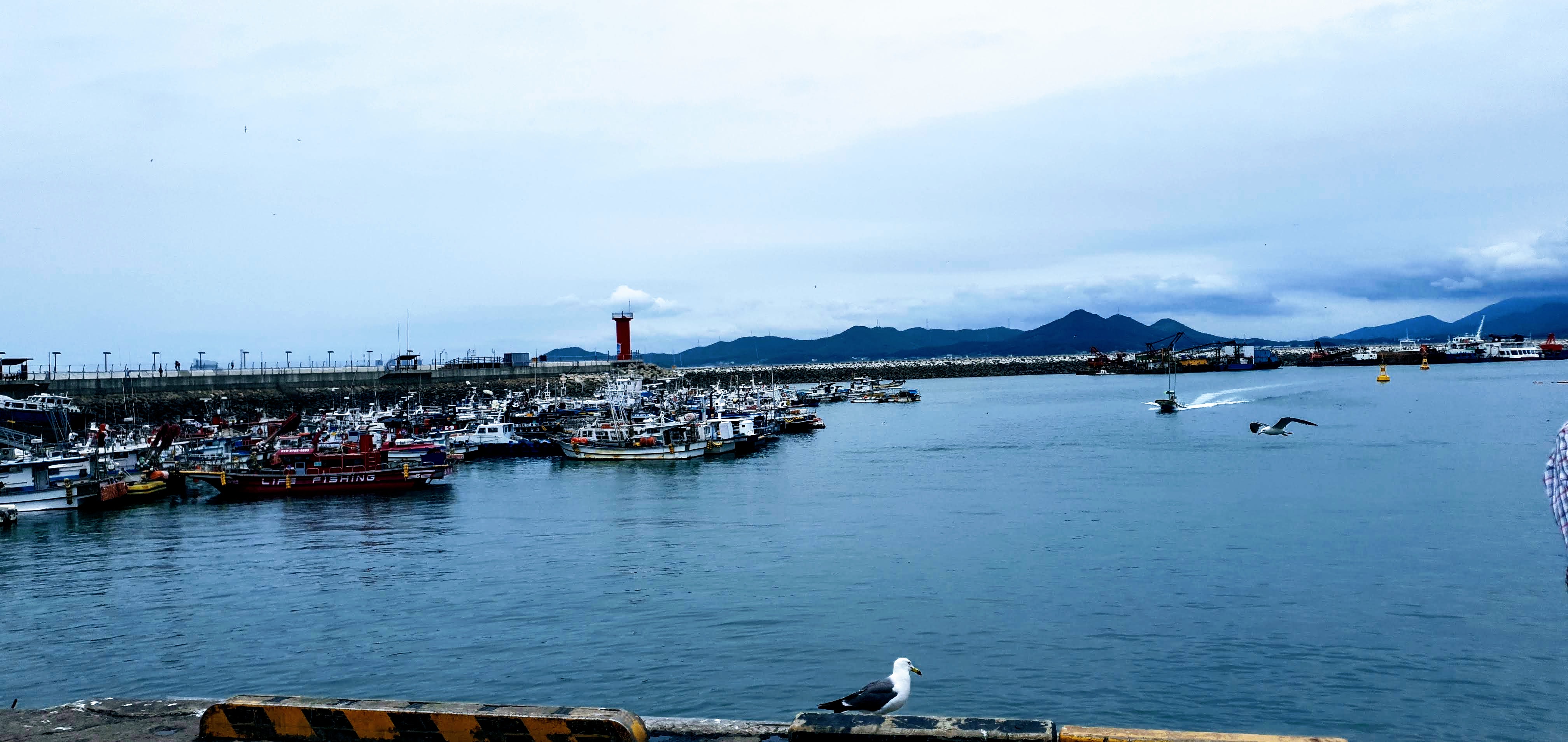 4. 2022 보령머드축제 가족여행