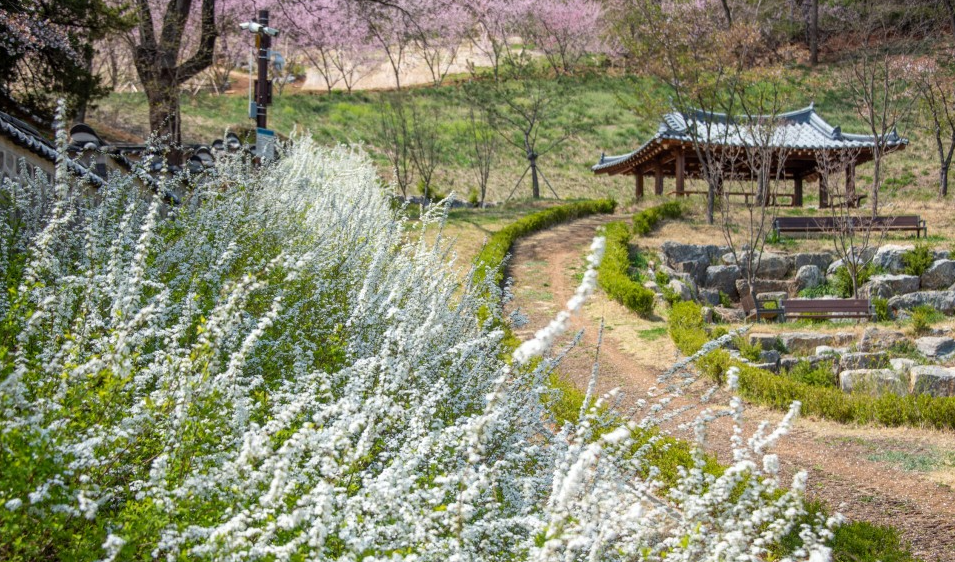 영월 가볼만한곳 베스트10 선정