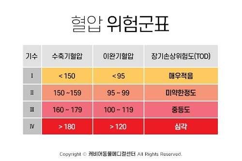 혈압 정상수치