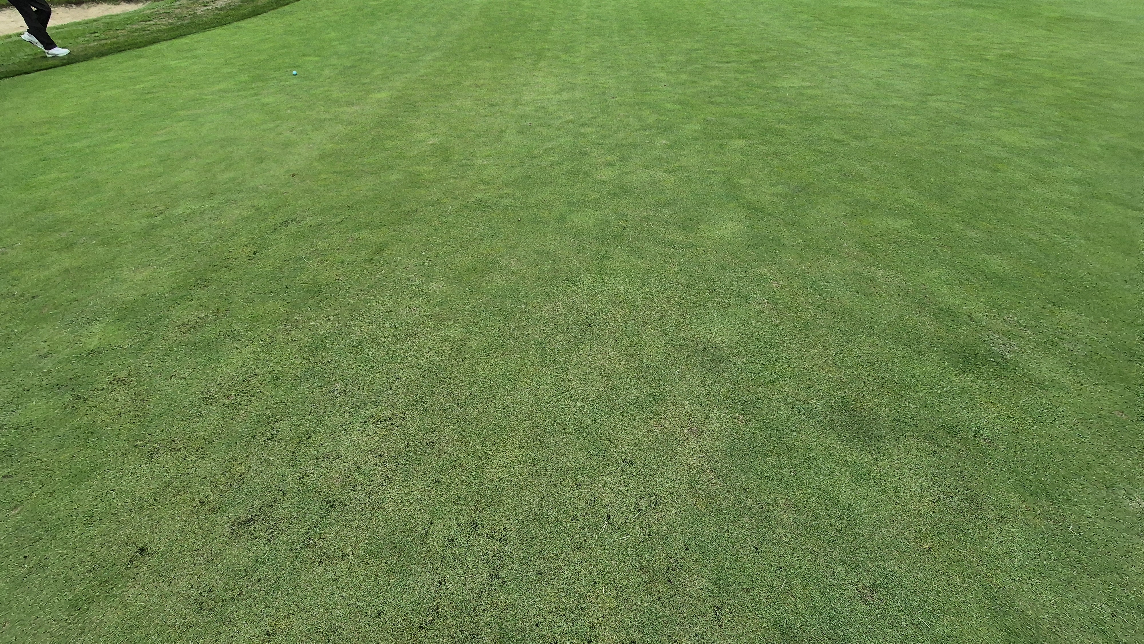 한림용인cc 다이아몬드-사파이어 코스 라운드 후기