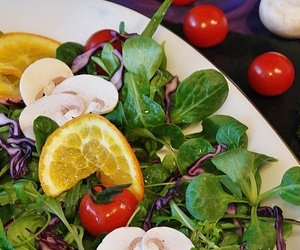 보리 효능 -담즙산 재흡수 방지