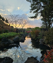 제주 한달살기 후기