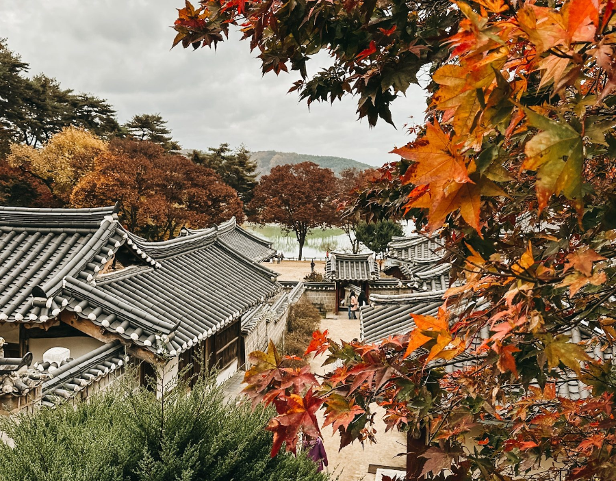 안동 하회마을, 한옥과 초가가 살아 있는 &lsquo;역사 마을&rsquo;