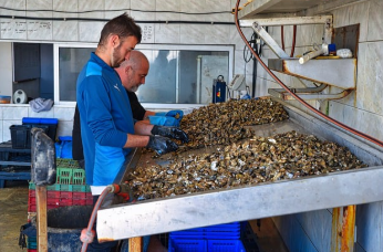 소상공인 특별지원금 2025 16