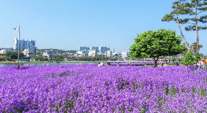 영천생태지구공원 — 경북 영천시 완산동 1035