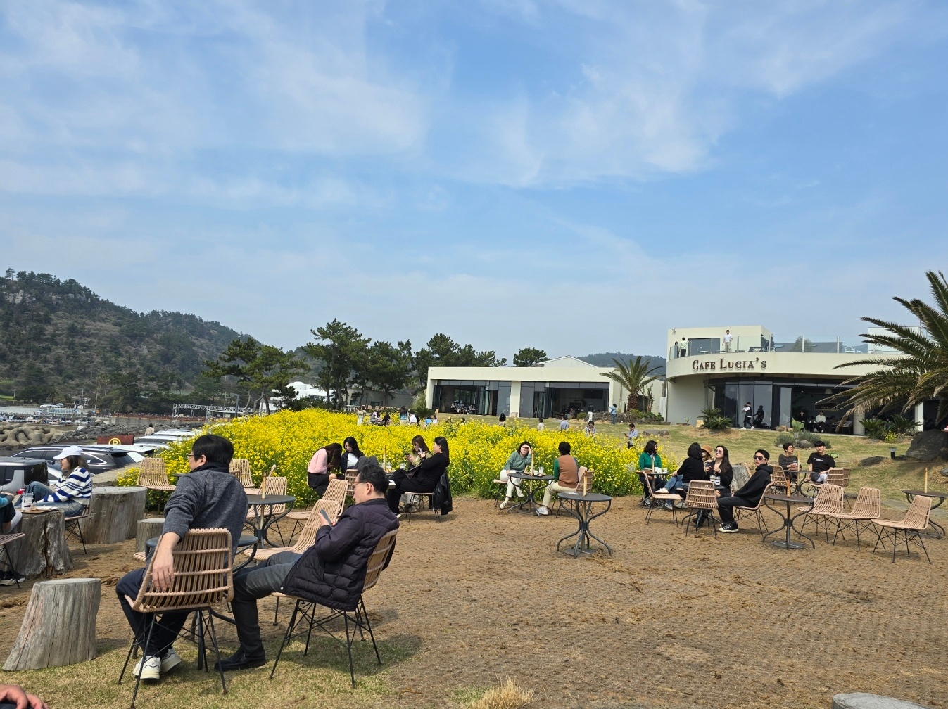 카페 루시아 이미지