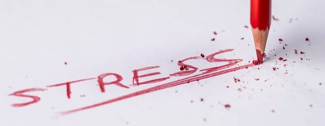 다이어트가 우울감과 불안을 유발하는 이유