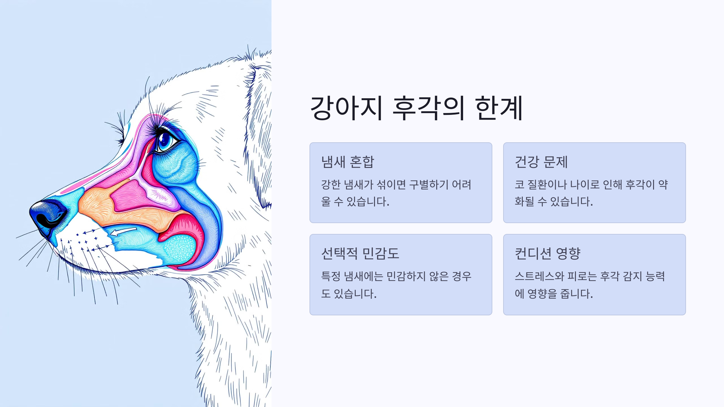 강아지 후각의 한계