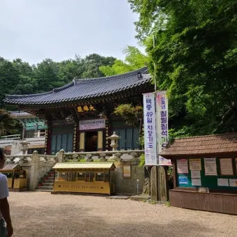 양산 가볼만한곳 추천 맛집 카페 여름 BEST 10_22