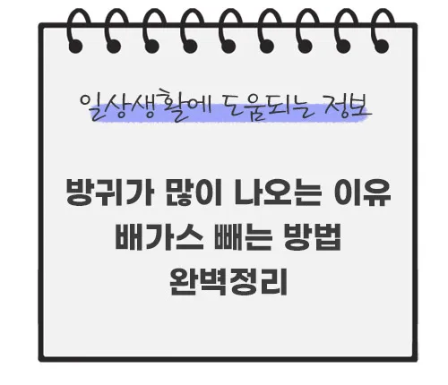 방귀가-많이-나오는-이유