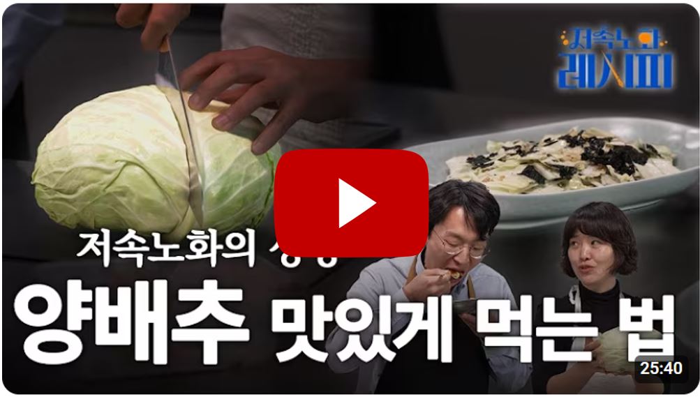 양배추김샐러드-영상