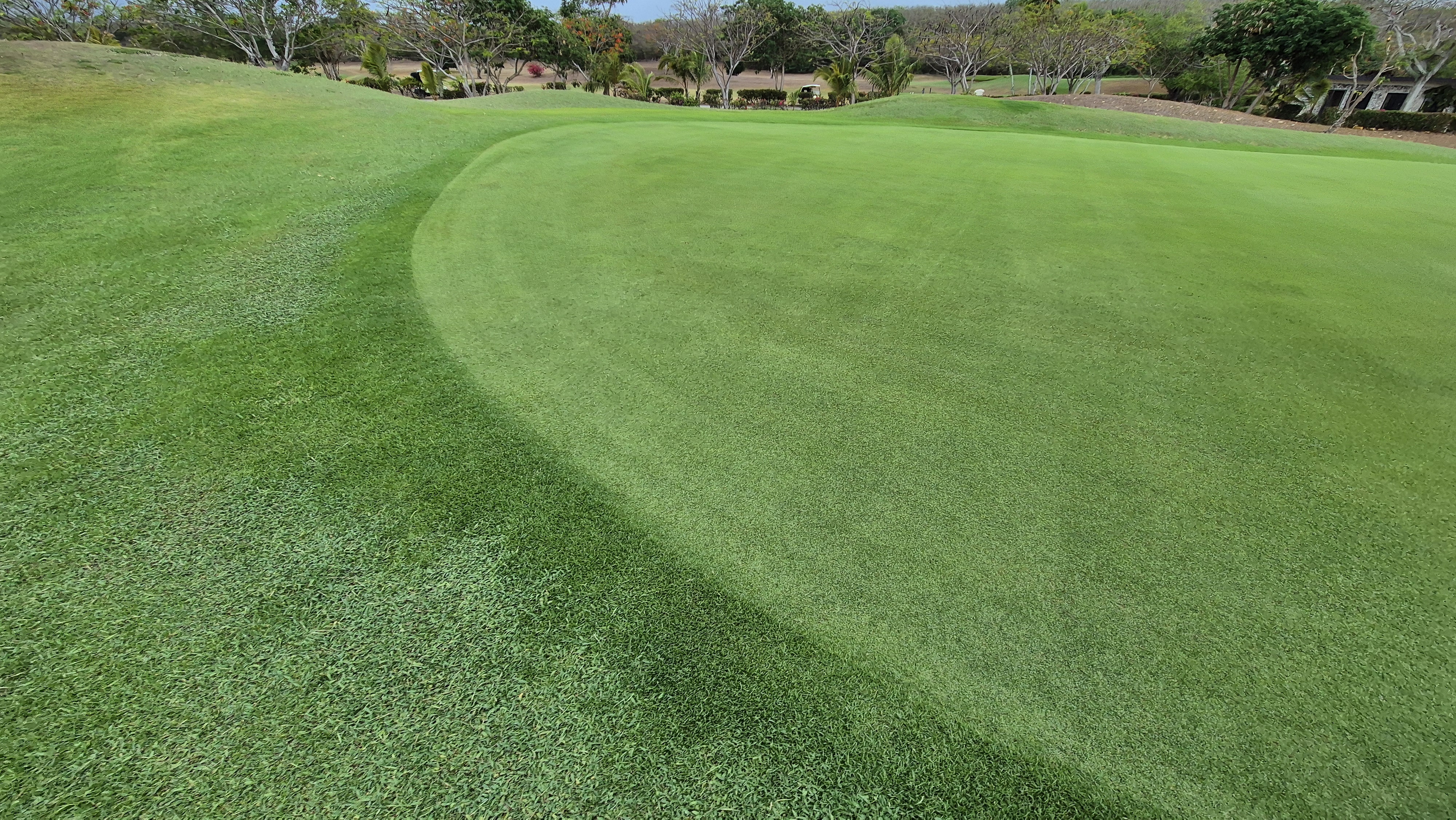 코랄오션cc 골프 라운드