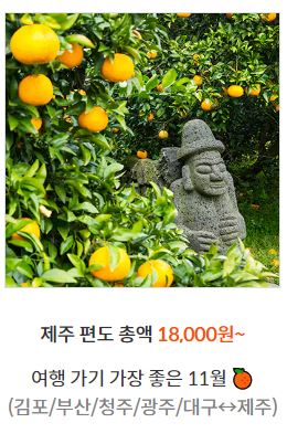 제주항공-제주도-항공권-예약-가격-비교-사이트