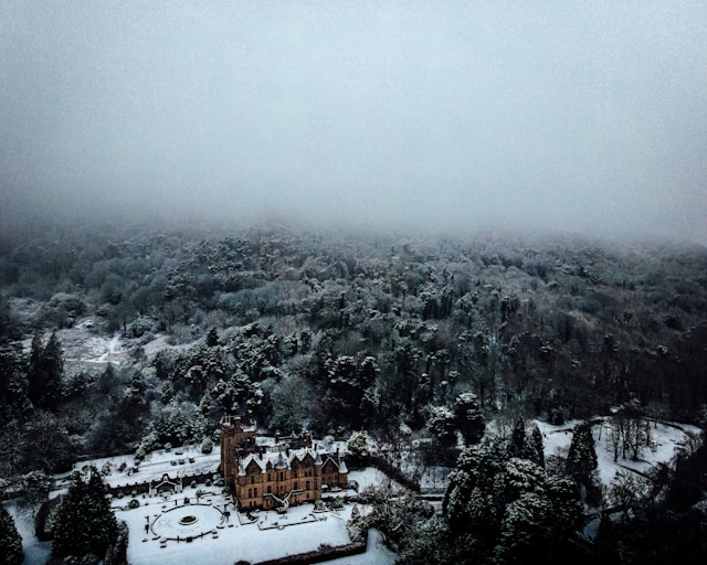 주말 대설 예상 지역 미리 확인하는 필수 가이드