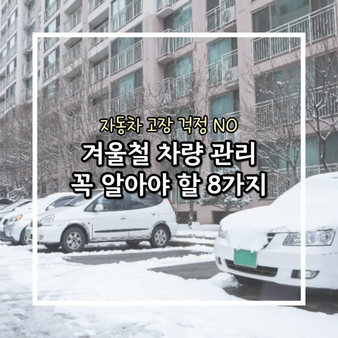 눈 오는 날 주차장 사진