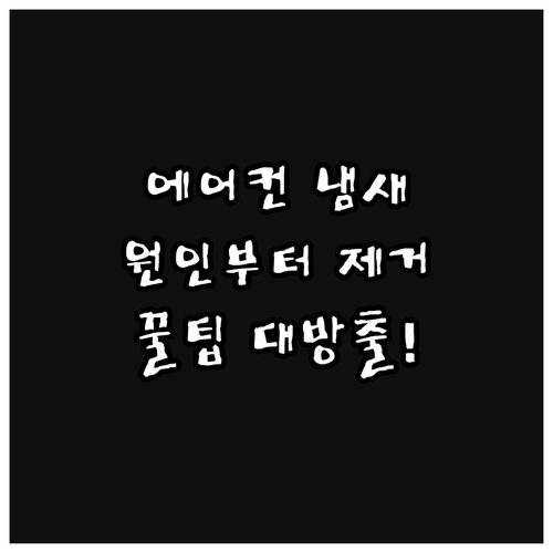 쾌적한 여름, 에어컨 냄새 제거 및