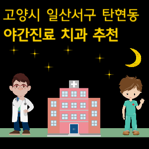 고양시 일산서구 탄현동 치과 야간진료 병원 추천
