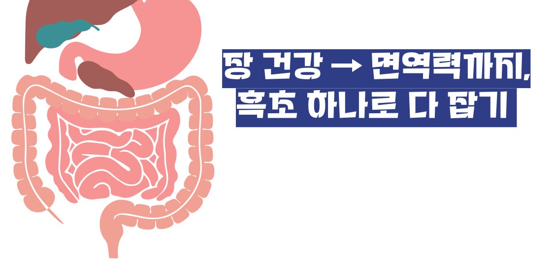 흑초 효능