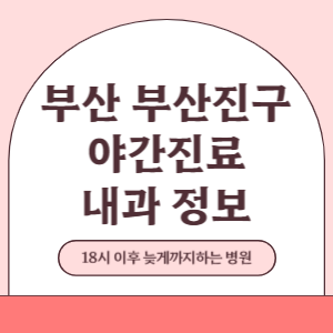 부산 부산진구 야간진료 내과 병원 (18시 이후 늦게까지하는 병원)