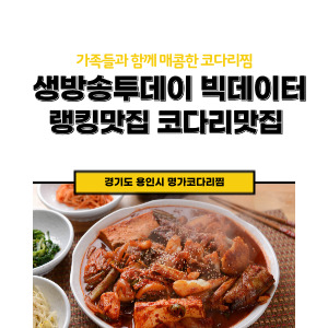 생방송 빅데이터 랭킹맛집