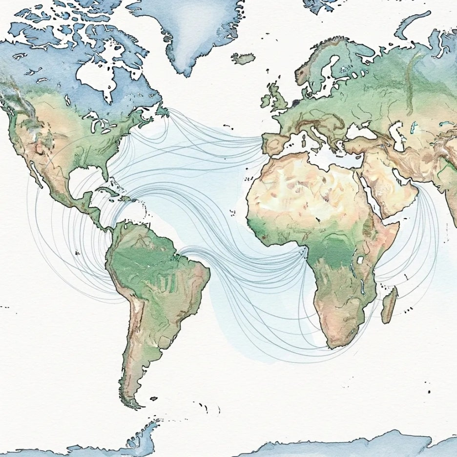 홍해와 연결된 전 세계 경제 및 정치적 관계를 나타낸 그림