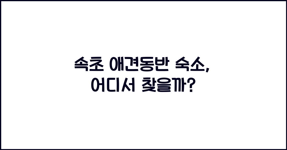 속초 애견동반 숙소