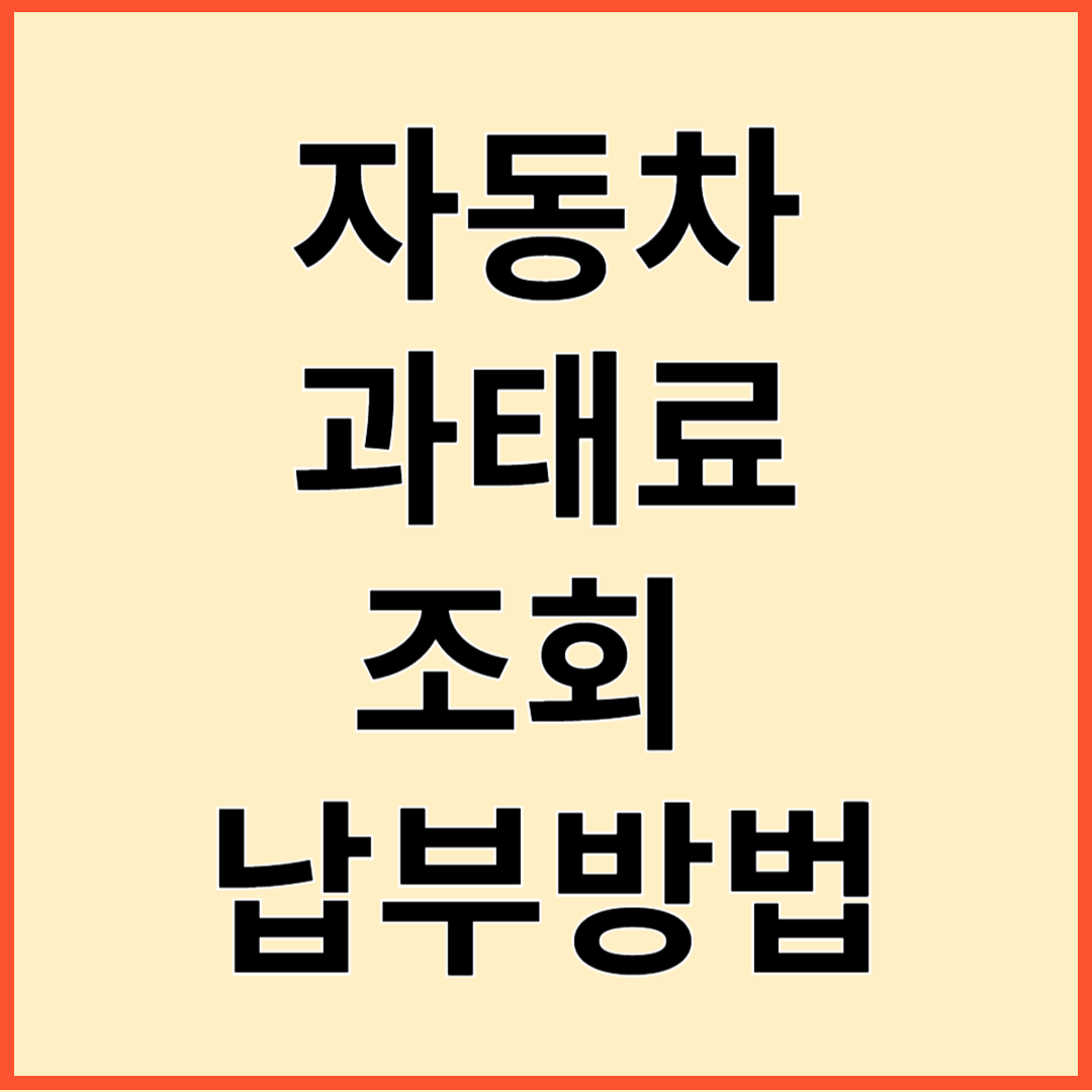 자동차과태료 조회, 납부, 과태료 범칙금 차이점