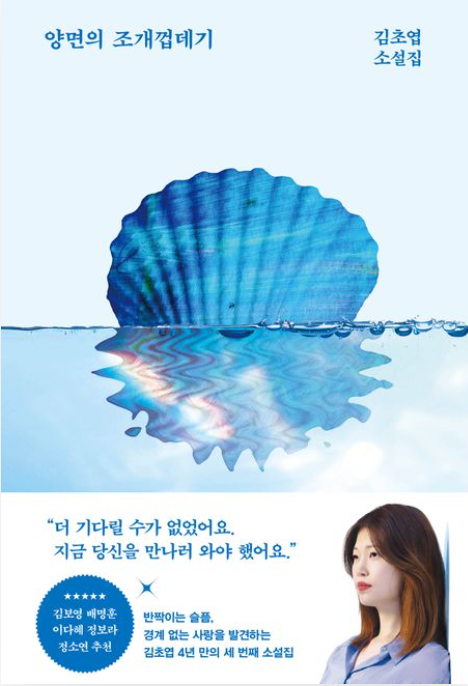 양면의 조개껍데기