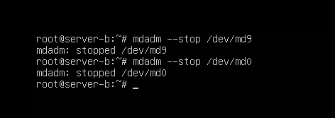 레이드 문제 발생과 조치 방법