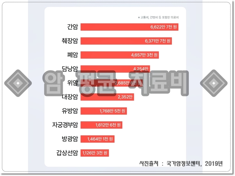 암 평균 치료비 통계