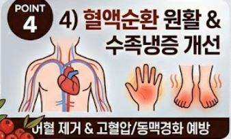 마가목 효능