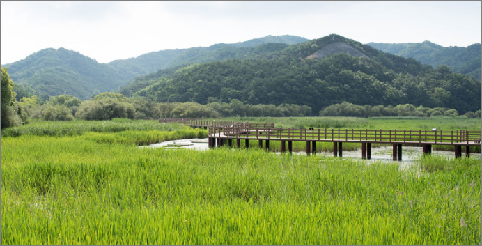 정양늪생태공원