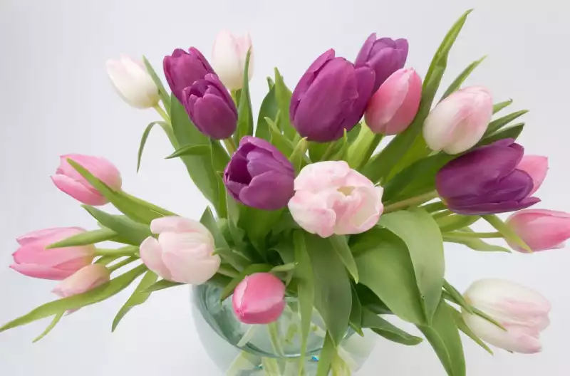 선물 받은 꽃 잘 보관하는 방법