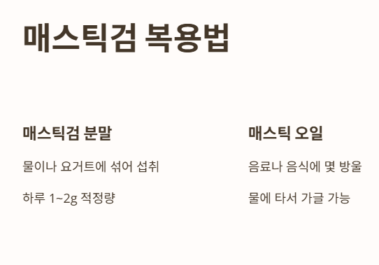 매스틱검 복용법