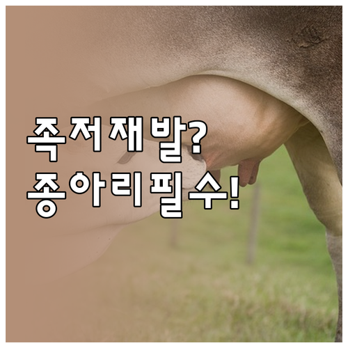 족저근막염 재발 막는 종아리 강화 운..