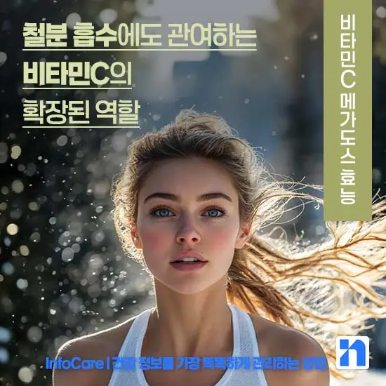 비타민C 메가도스 효능