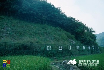 지역주민과 미선 나무 이야기