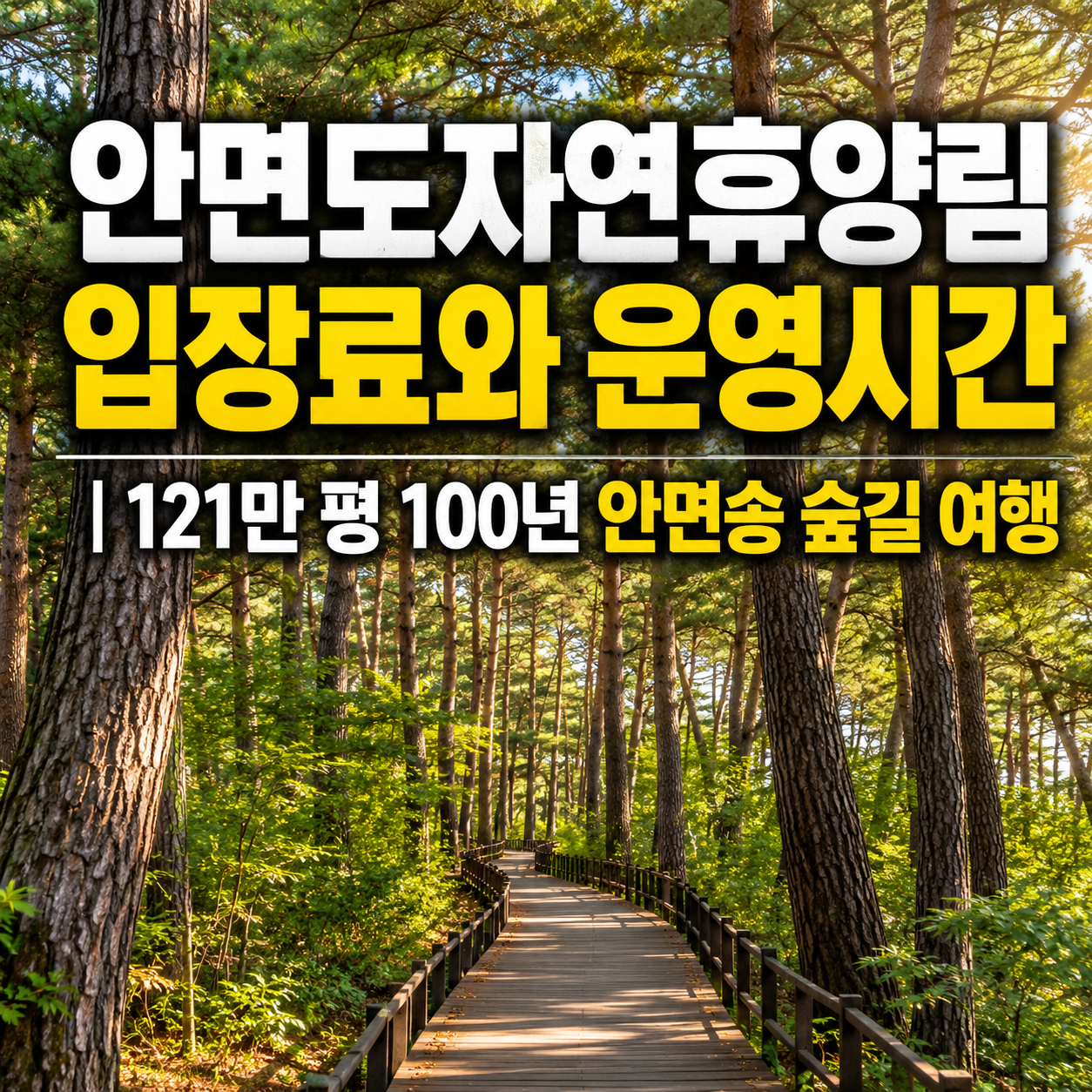 안면도자연휴양림 입장료와 운영시간｜121만 평 100년 안면송 숲길 여행