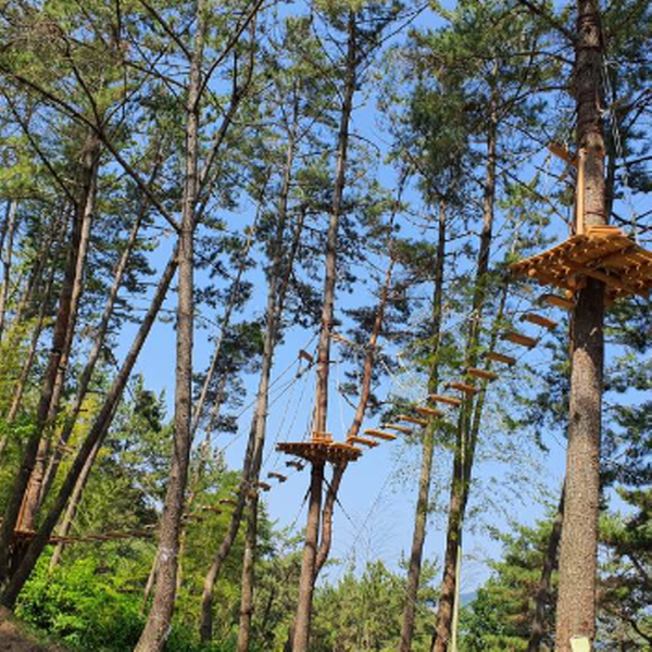 거제 맹종죽테마공원