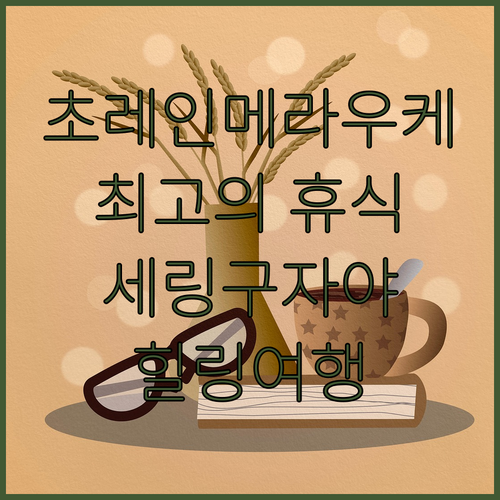 세링구 자야 초레인 메라우케! 최고의..