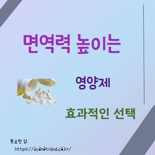 면역력 높이는 영양제 추천, 효과적인 성분과 선택 기준 썸네일
