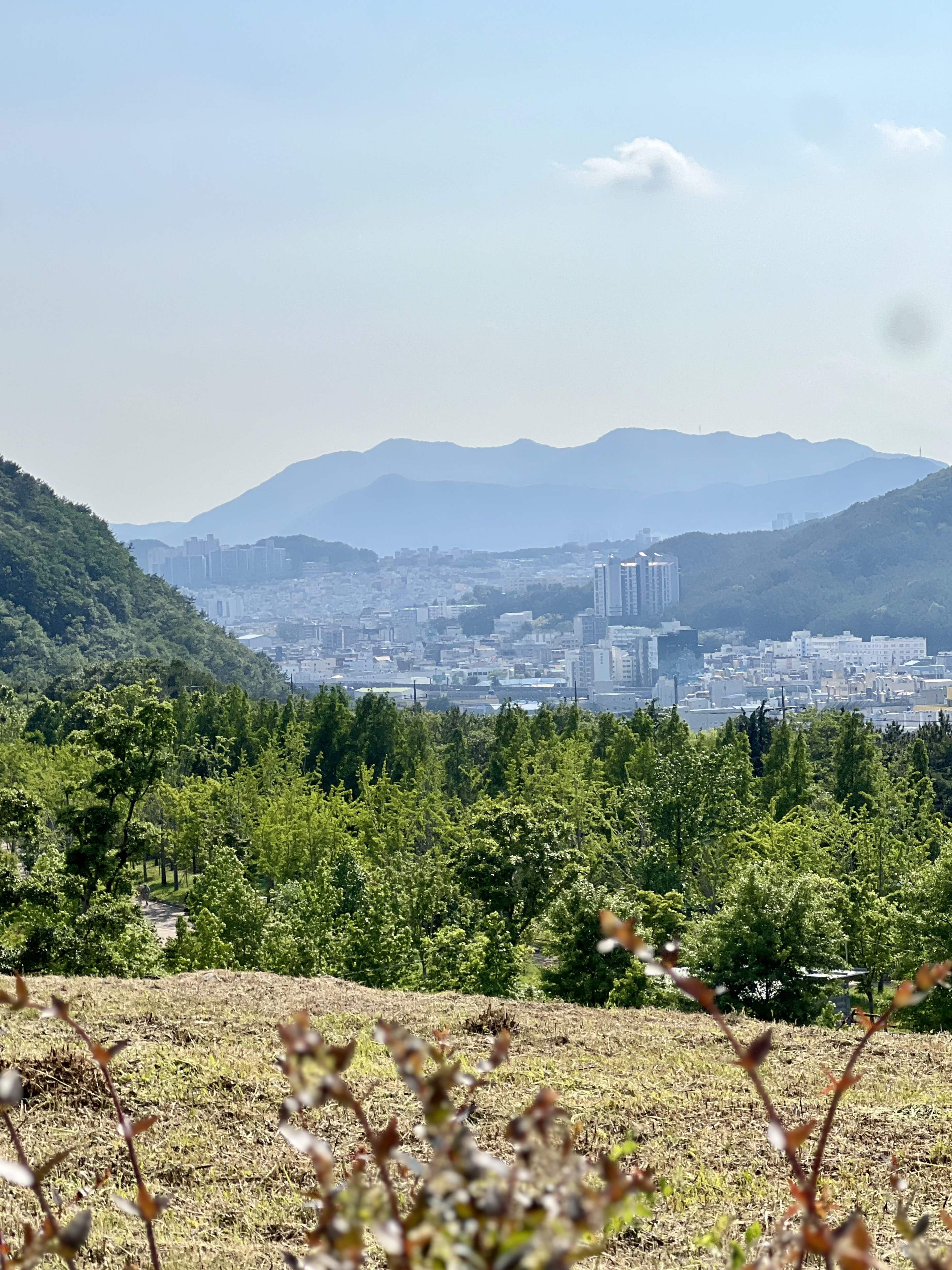 해운대수목원 카트이용 정상